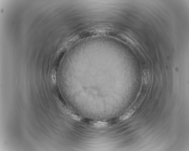 X0000059840718200511181513