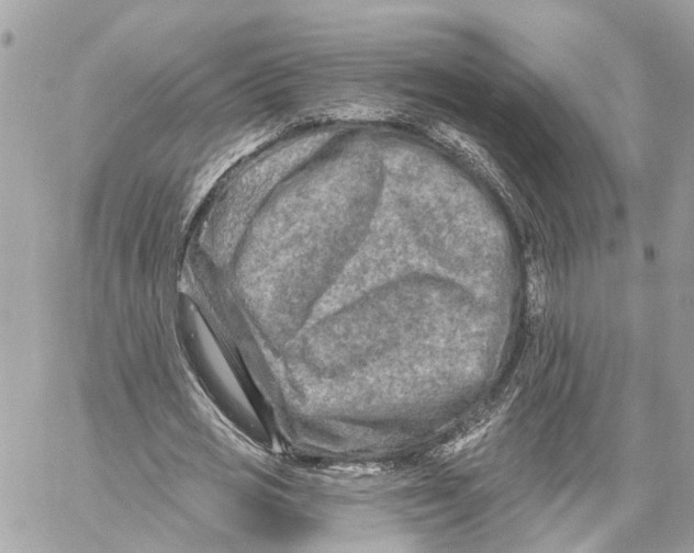 X0000059840725200511181512