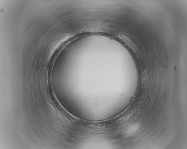 X0000059840727200511181512