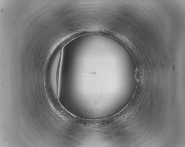 X0000059840728200511181512