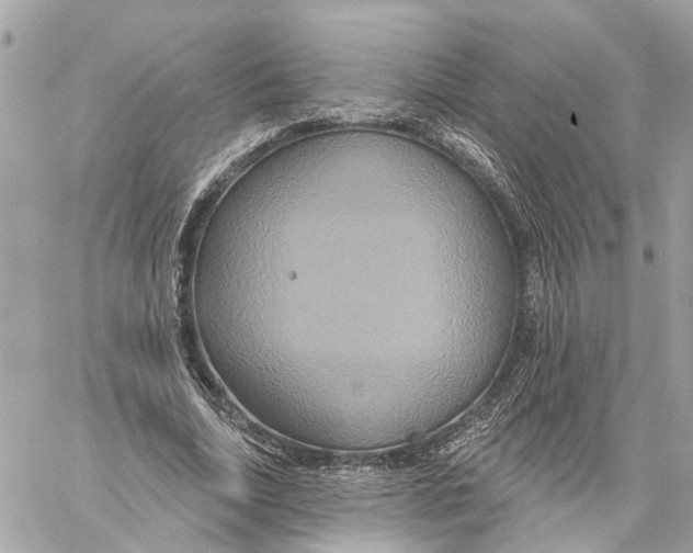 X0000059840730200511181512