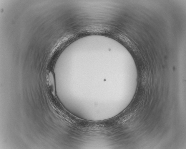 X0000059840731200511181512