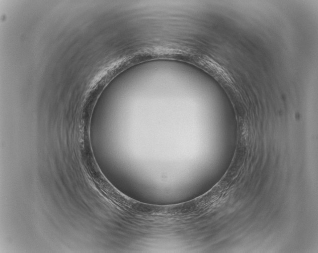 X0000059840732200511181512