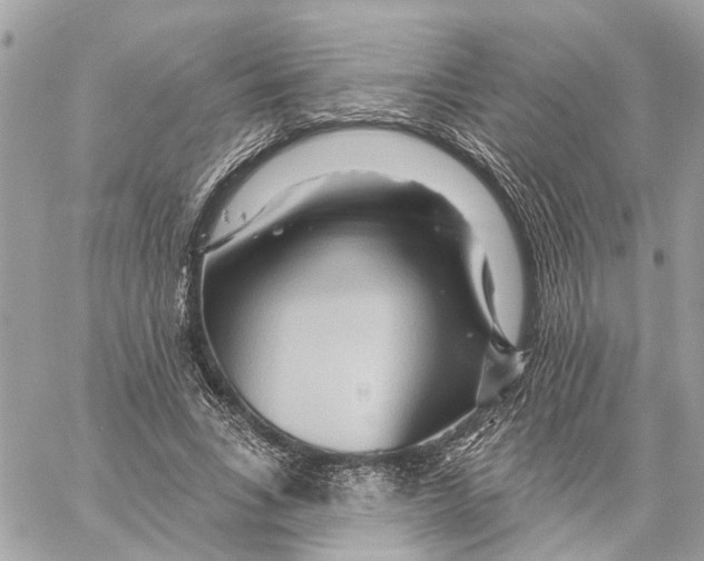 X0000059840735200511181512