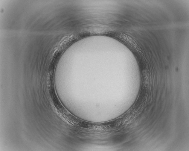 X0000059840738200511181512