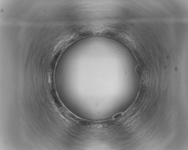 X0000059840740200511181512