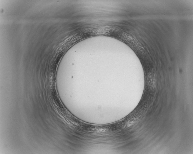 X0000059840741200511181512