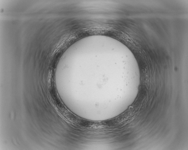 X0000059840742200511181512