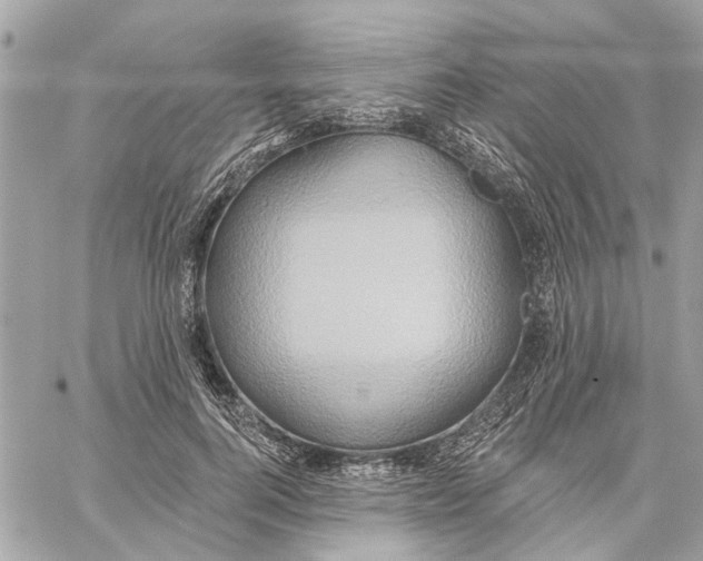 X0000059840744200511181512