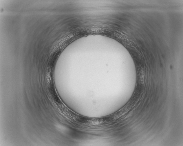 X0000059840746200511181512