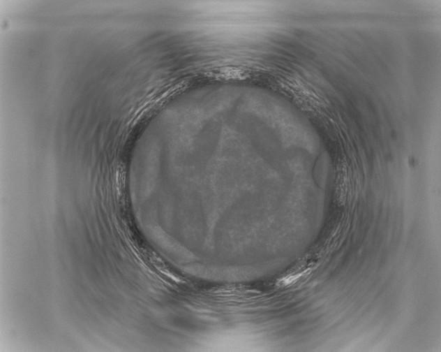 X0000059840747200511181512