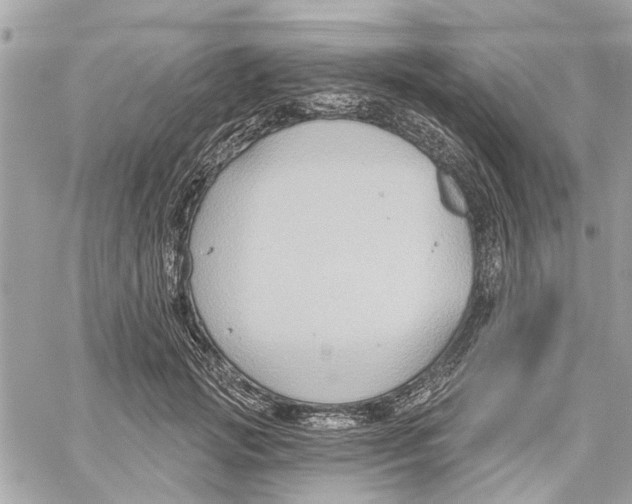 X0000059840749200511181512