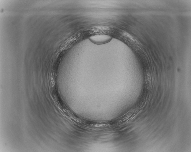 X0000059840751200511181513