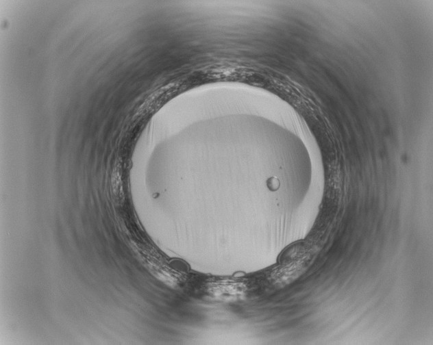 X0000059840754200511181513