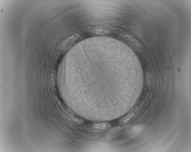 X0000059840757200511181513