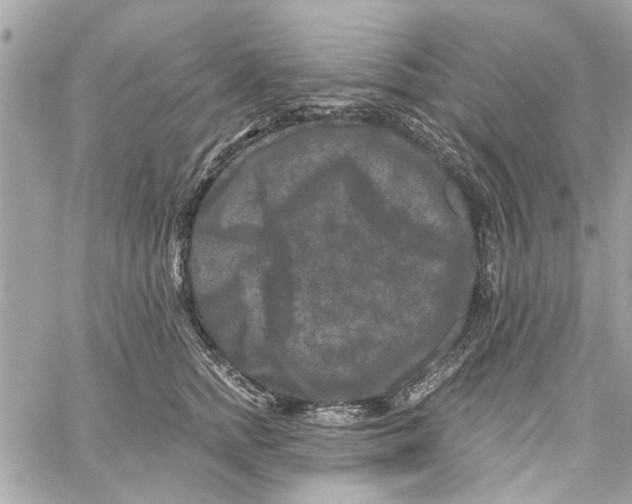 X0000059840758200511181513