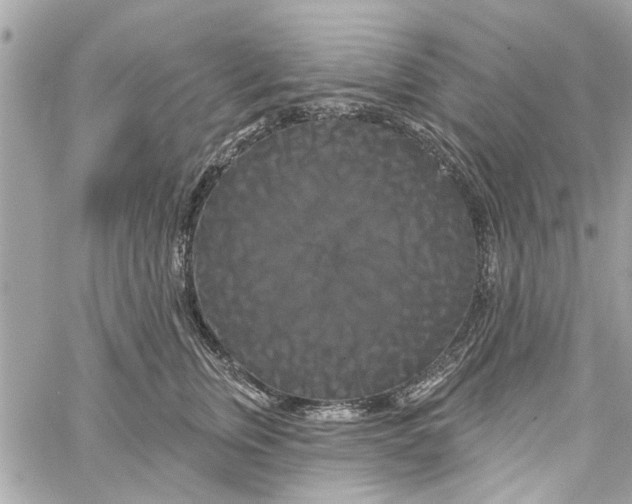 X0000059840759200511181513