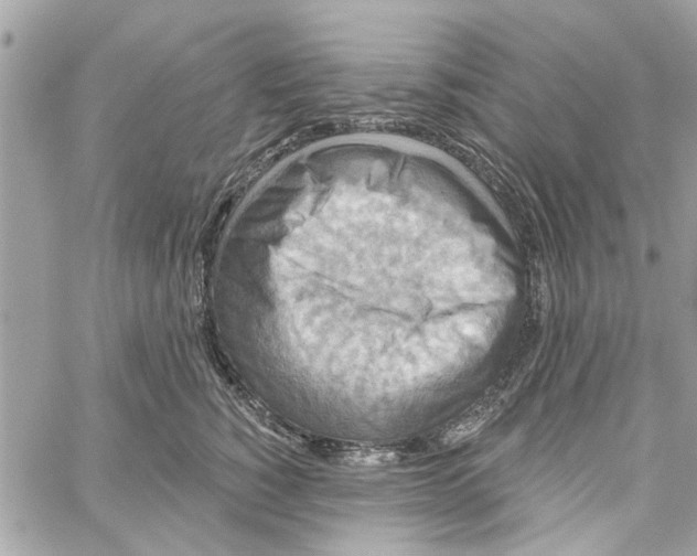 X0000059840760200511181513