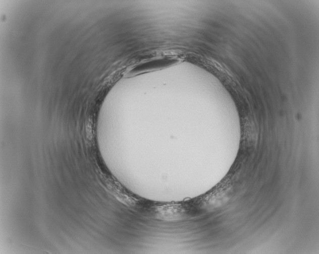 X0000059840761200511181513