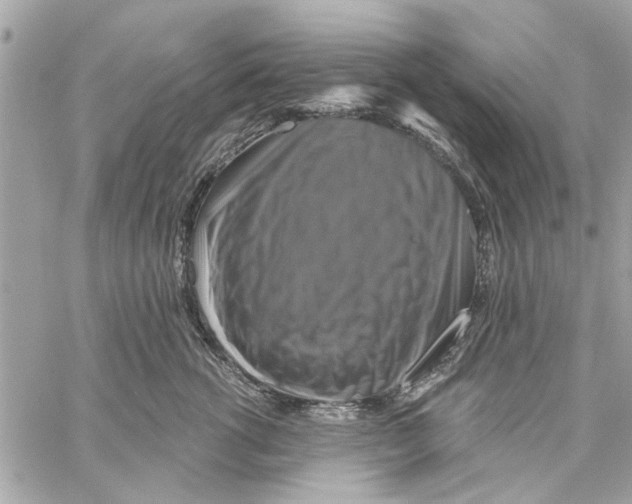 X0000059840762200511181513