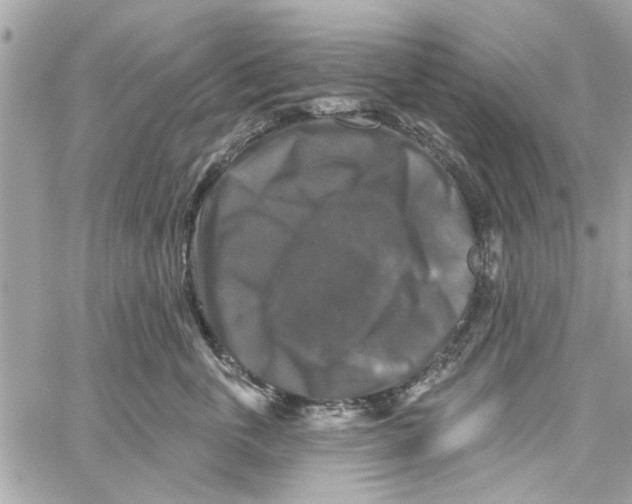 X0000059840763200511181513