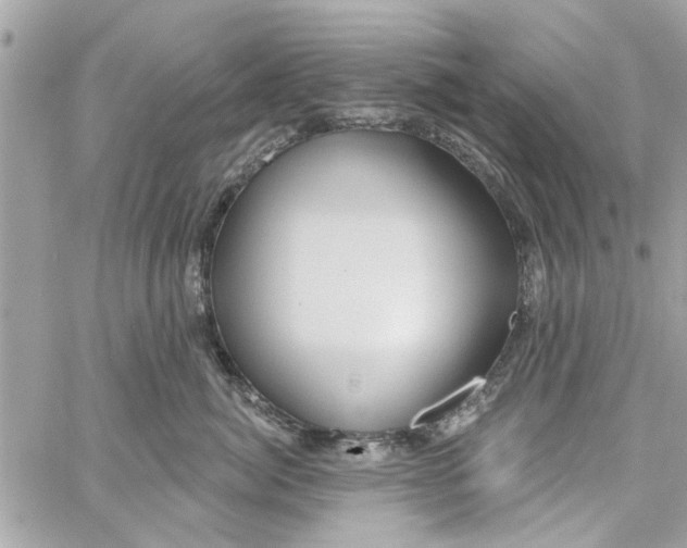 X0000059840764200511181513