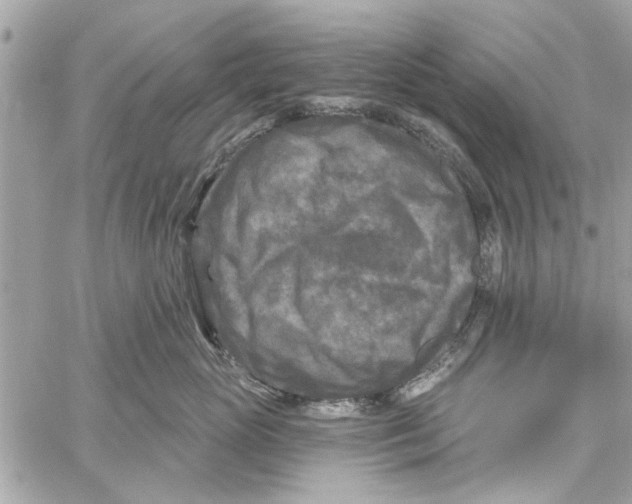 X0000059840765200511181513