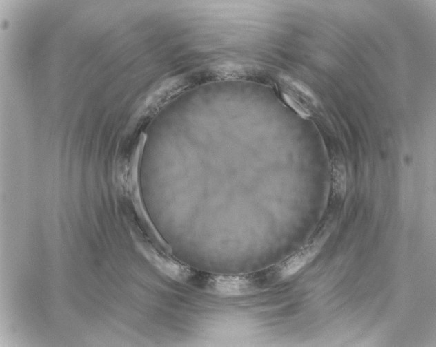 X0000059840766200511181513