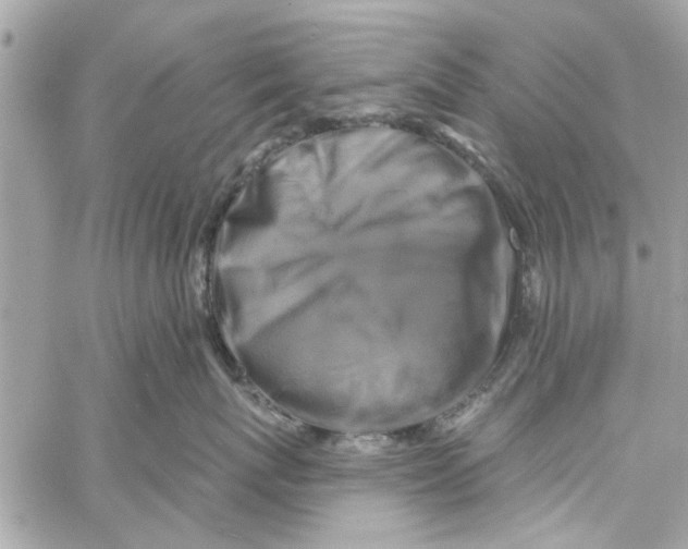 X0000059840767200511181513