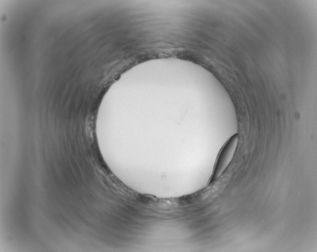 X0000059840768200511181513