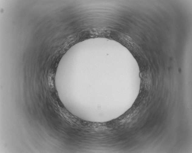 X0000059840770200511181512