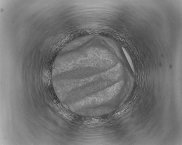 X0000059840772200511181512