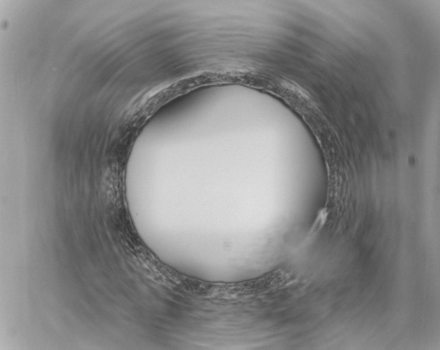 X0000059840773200511181512