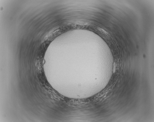 X0000059840774200511181512