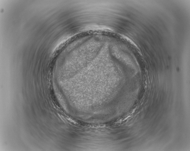 X0000059840775200511181512