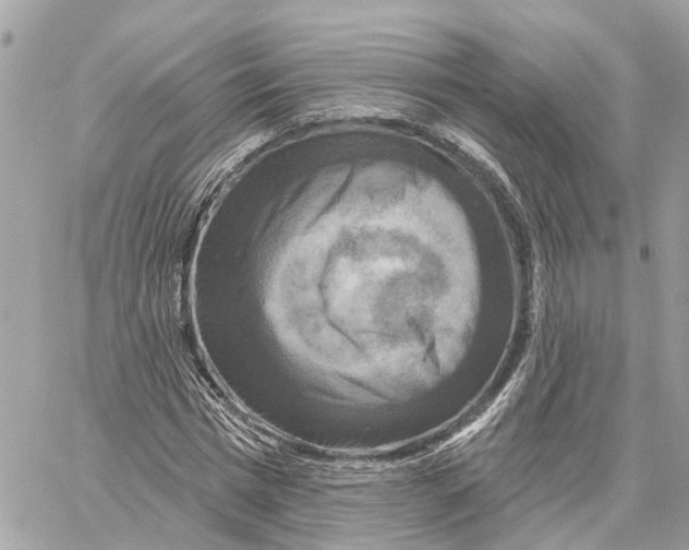 X0000059840777200511181512