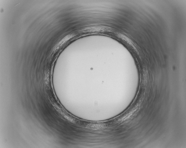 X0000059840778200511181512