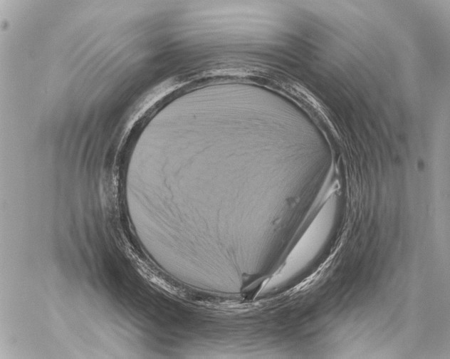 X0000059840779200511181512