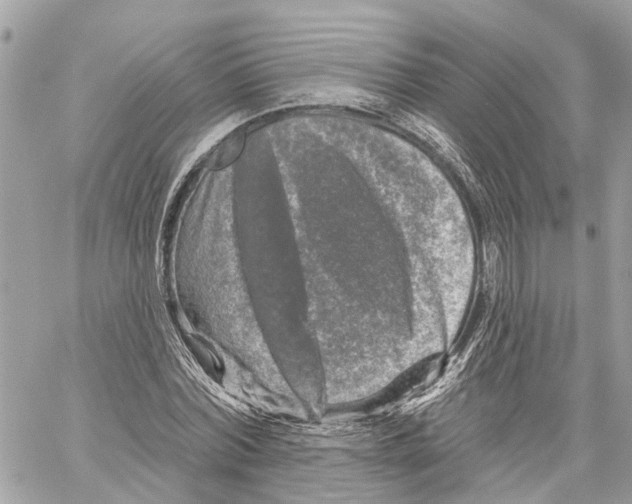 X0000059840780200511181512