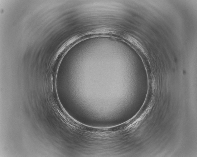 X0000059840781200511181512