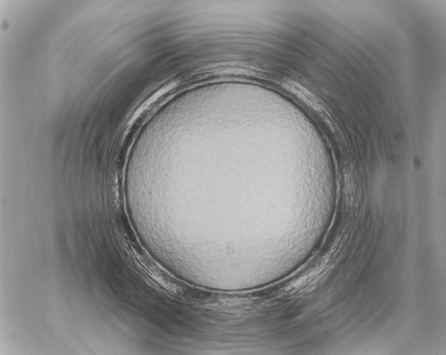 X0000059840782200511181512