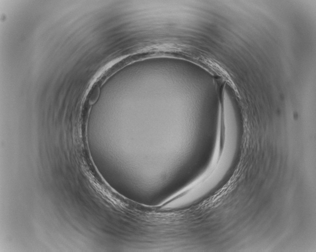 X0000059840784200511181512