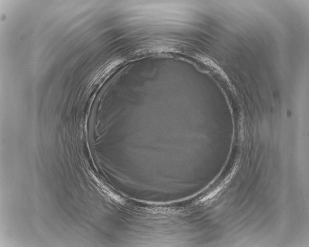 X0000059840785200511181512