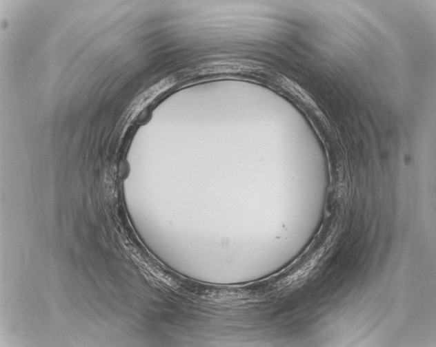 X0000059840786200511181512