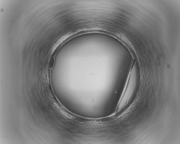 X0000059840789200511181512