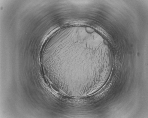 X0000059840790200511181512