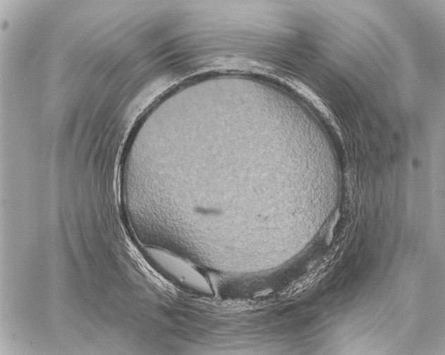 X0000059840791200511181512