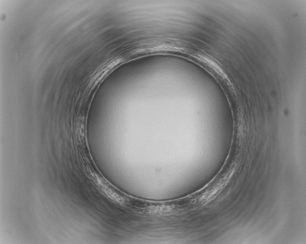 X0000059840793200511181512