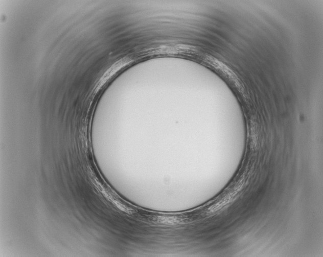 X0000059840794200511181512