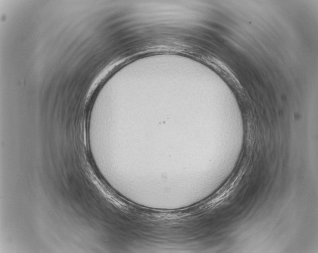 X0000059840796200511181512